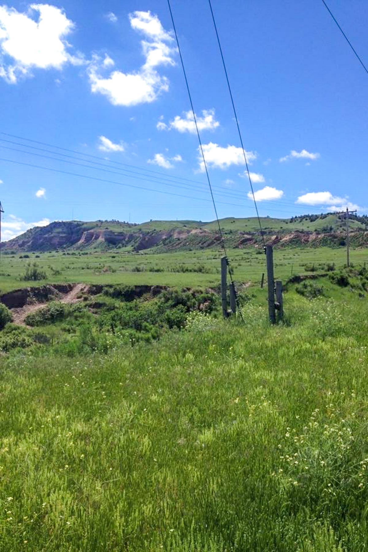 Bumpy Road Ranch property picture 4 of 43