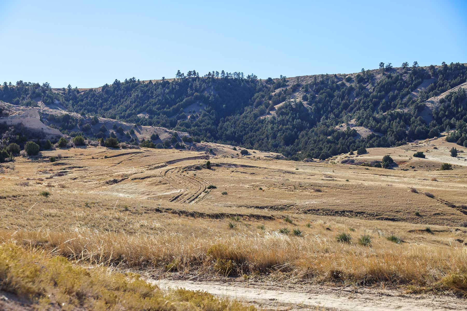 Bumpy Road Ranch property picture 13 of 43