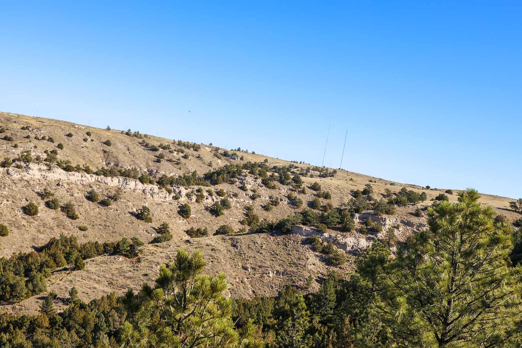 Bumpy Road Ranch property picture 34 of 43