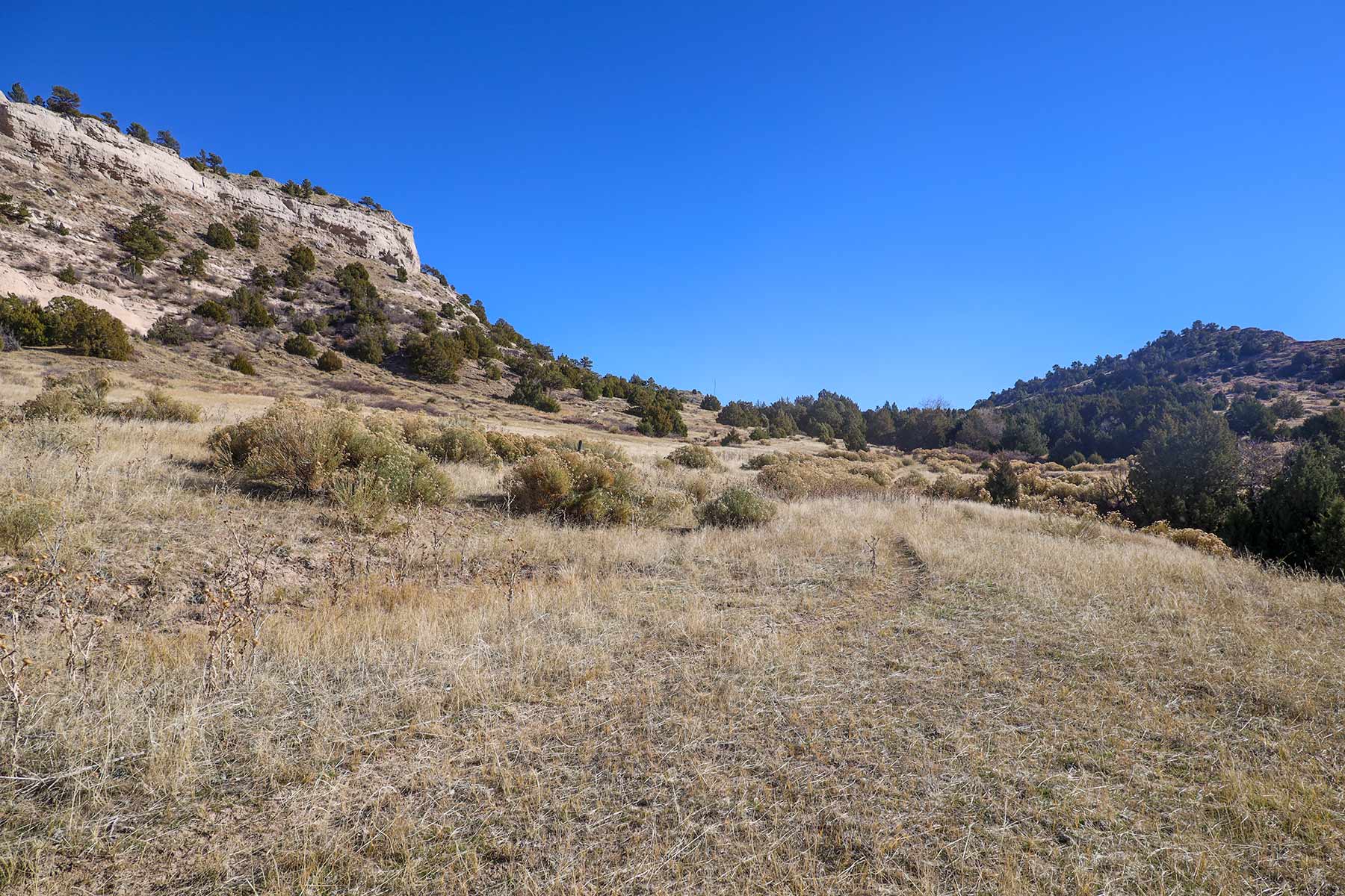 Bumpy Road Ranch property picture 16 of 43