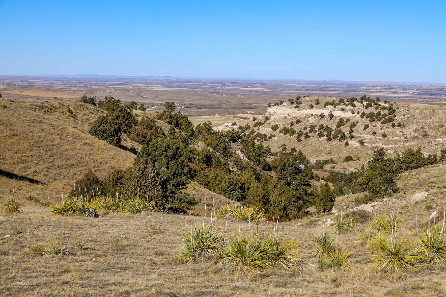 Bumpy Road Ranch property picture 27 of 43