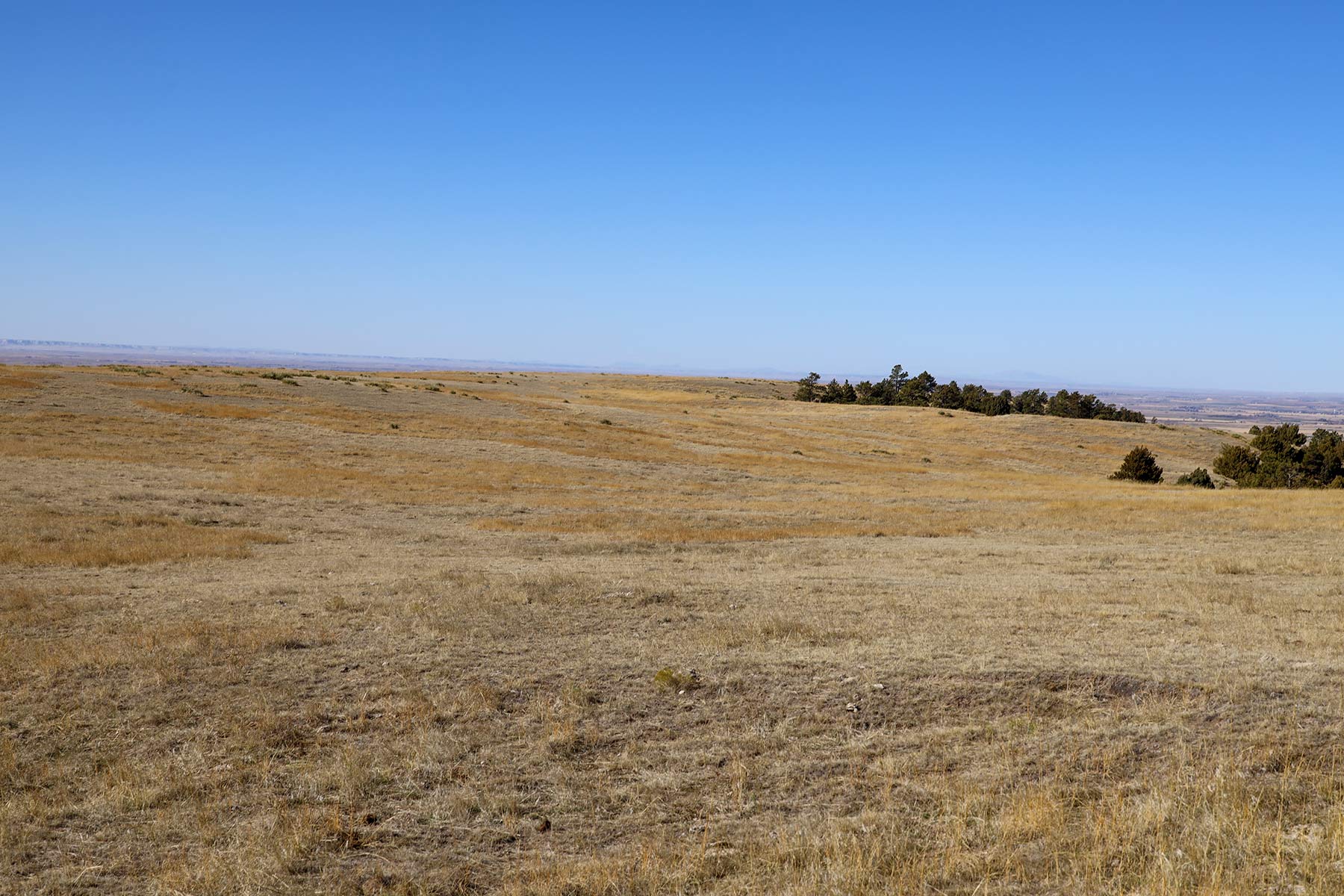 Bumpy Road Ranch property picture 28 of 43