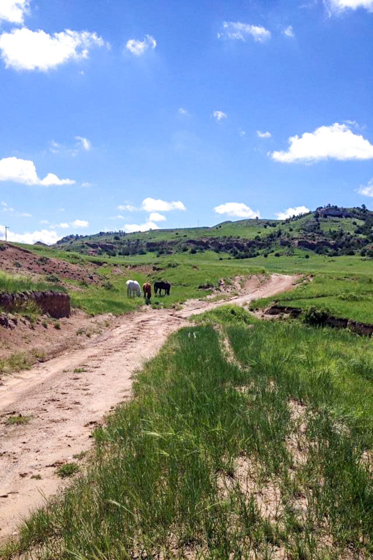 Bumpy Road Ranch property picture 7 of 43