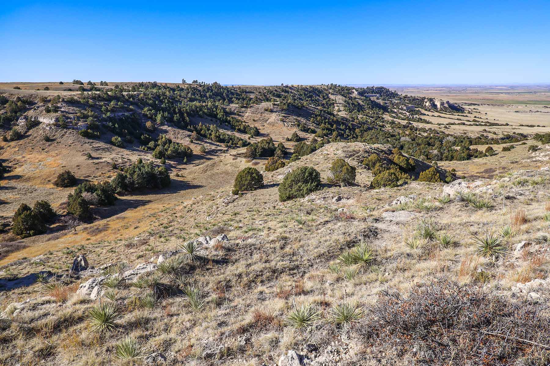 Bumpy Road Ranch property picture 23 of 43
