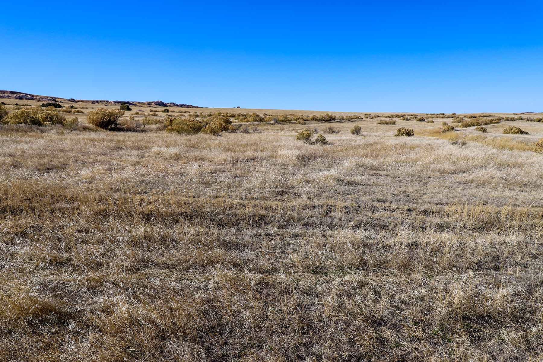Bumpy Road Ranch property picture 38 of 43
