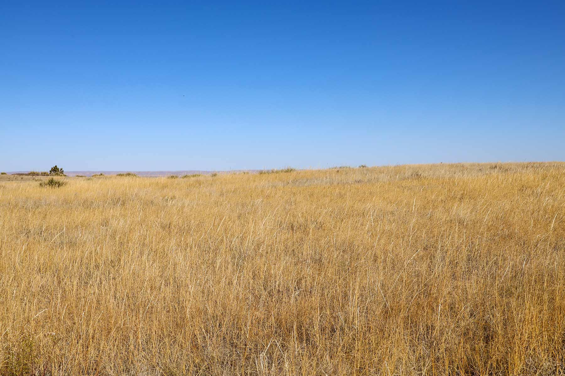 Bumpy Road Ranch property picture 33 of 43