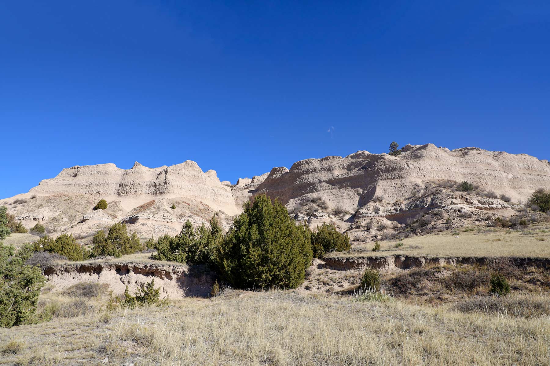 Bumpy Road Ranch property picture 10 of 43