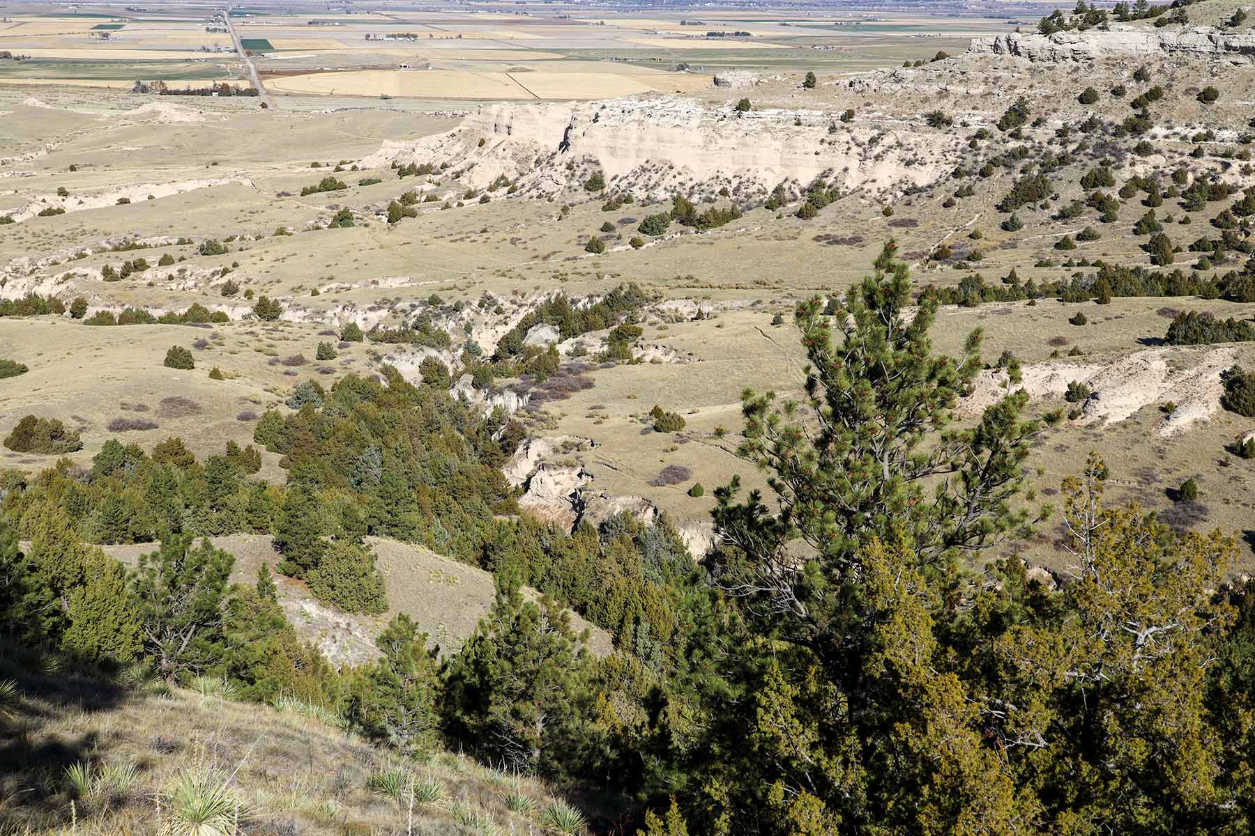 Bumpy Road Ranch property picture 35 of 43