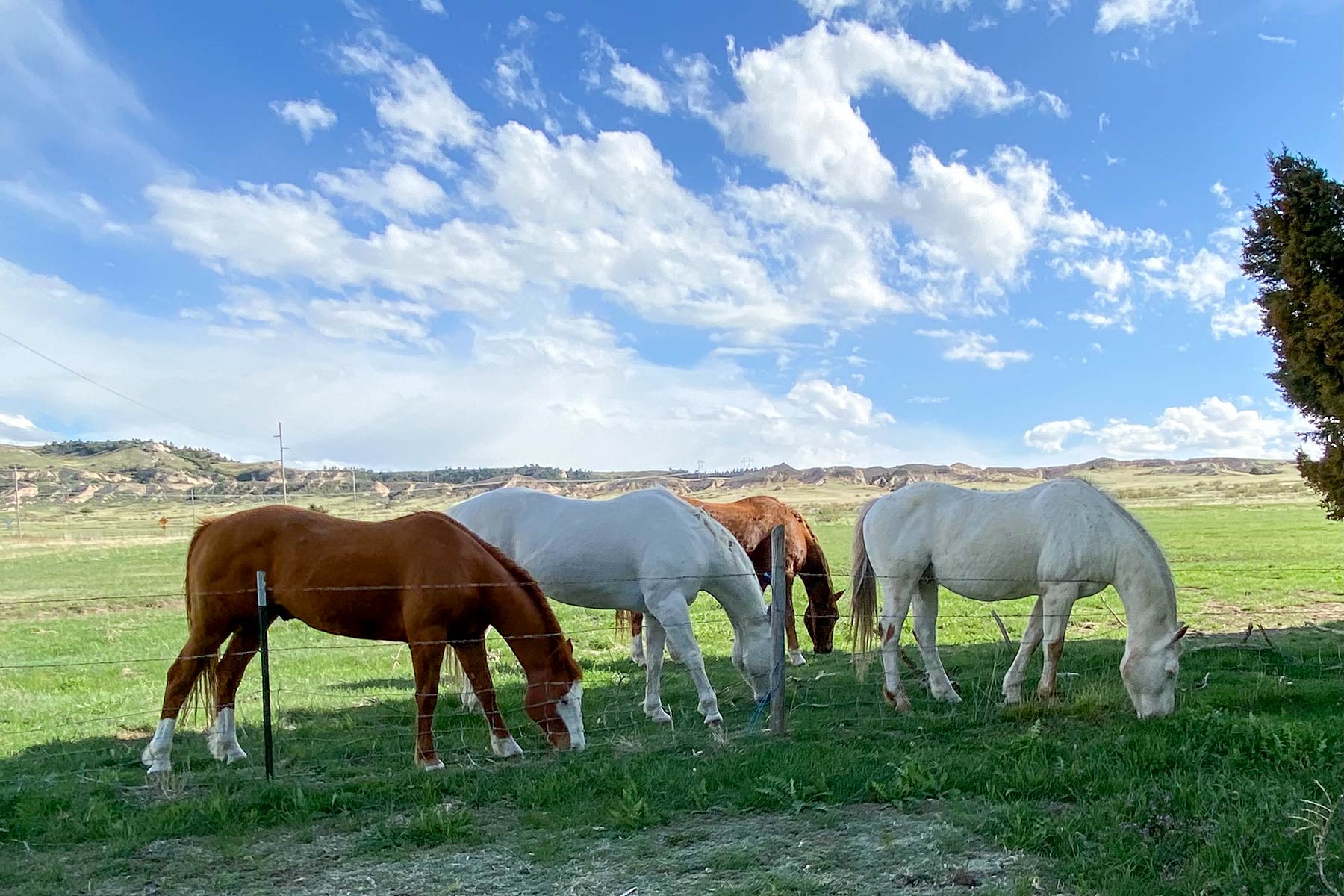 Bumpy Road Ranch property picture 3 of 43