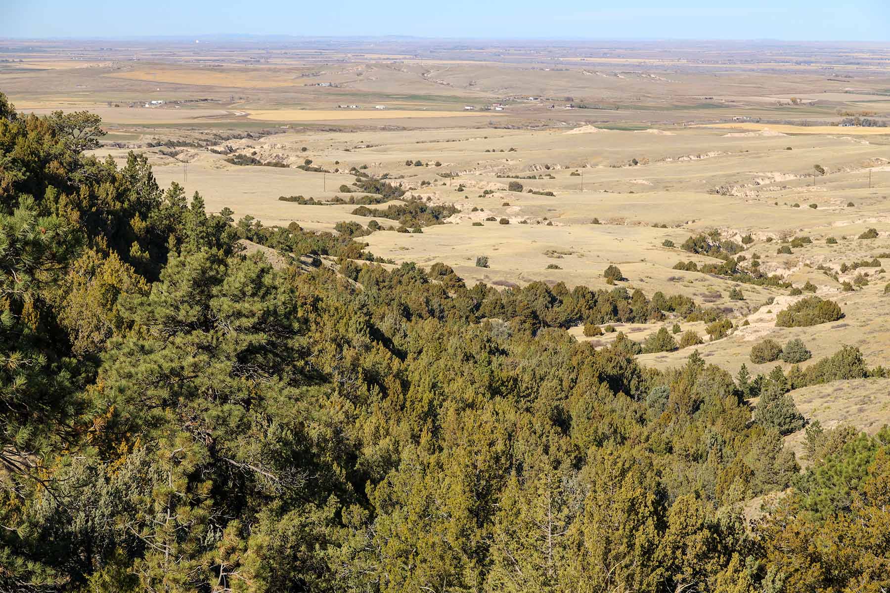Bumpy Road Ranch property picture 31 of 43