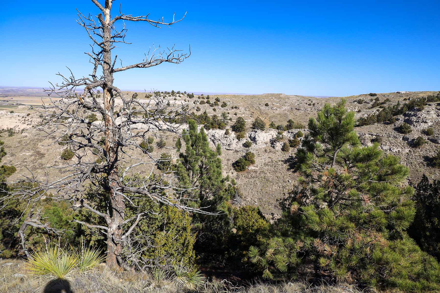 Bumpy Road Ranch property picture 29 of 43