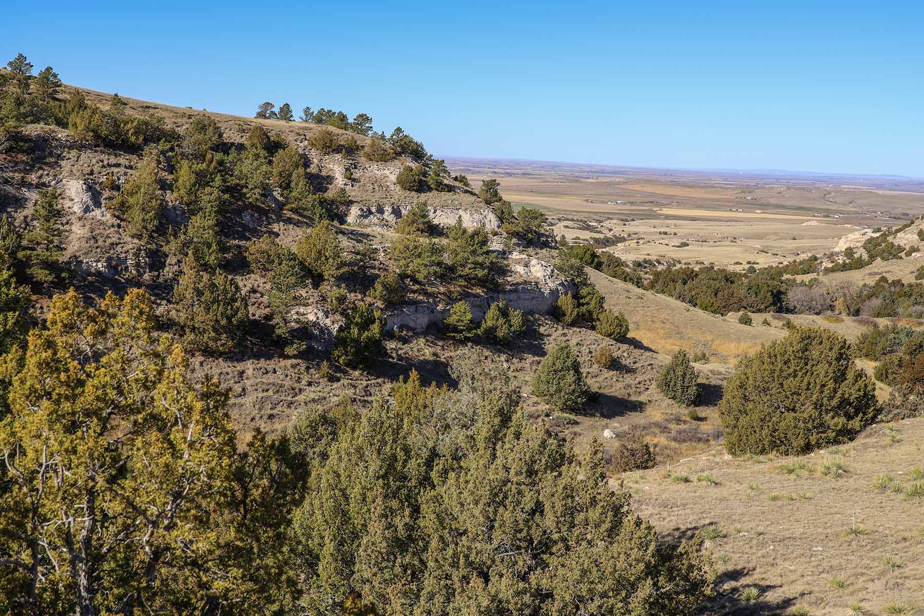 Bumpy Road Ranch property picture 14 of 43