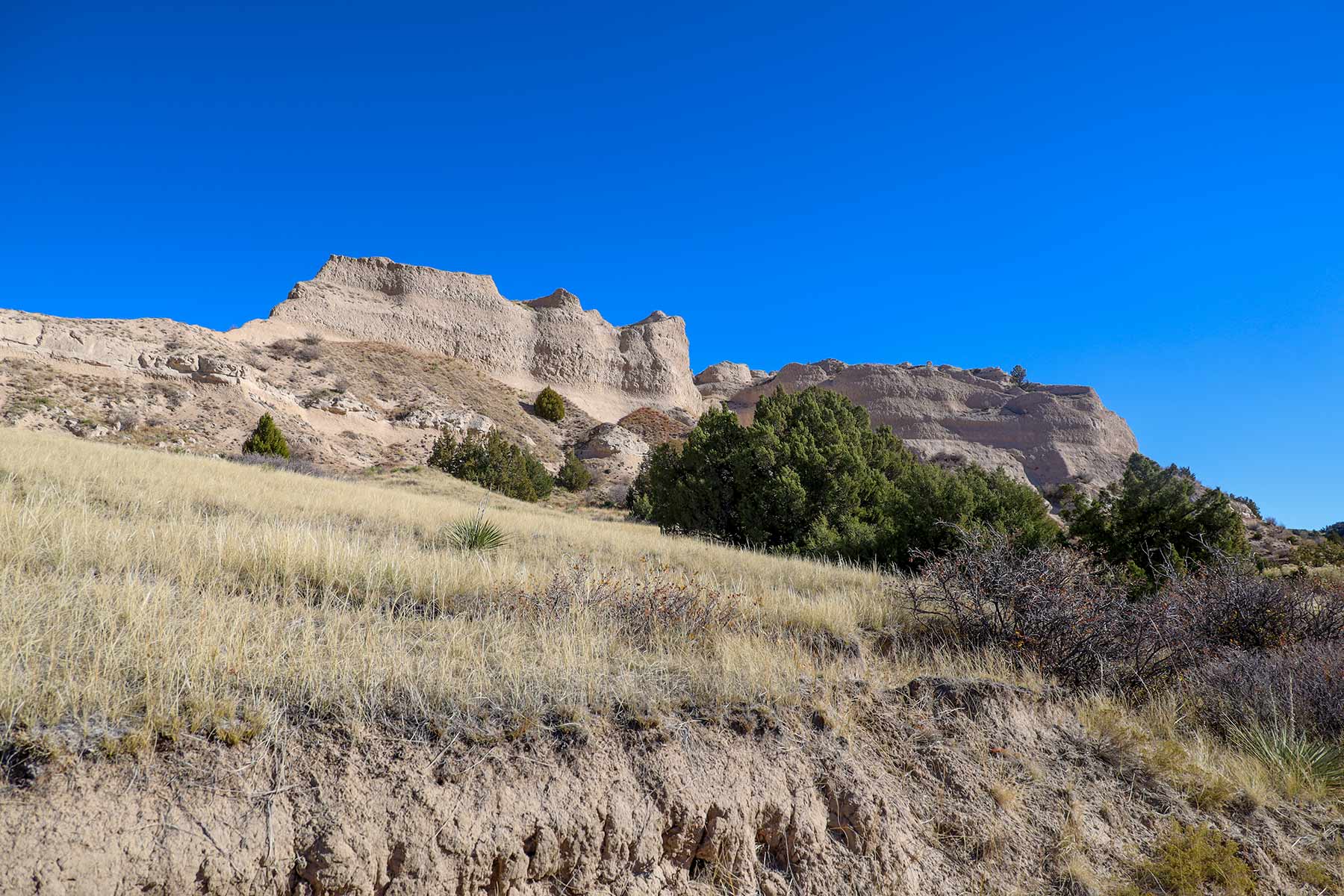 Bumpy Road Ranch property picture 36 of 43