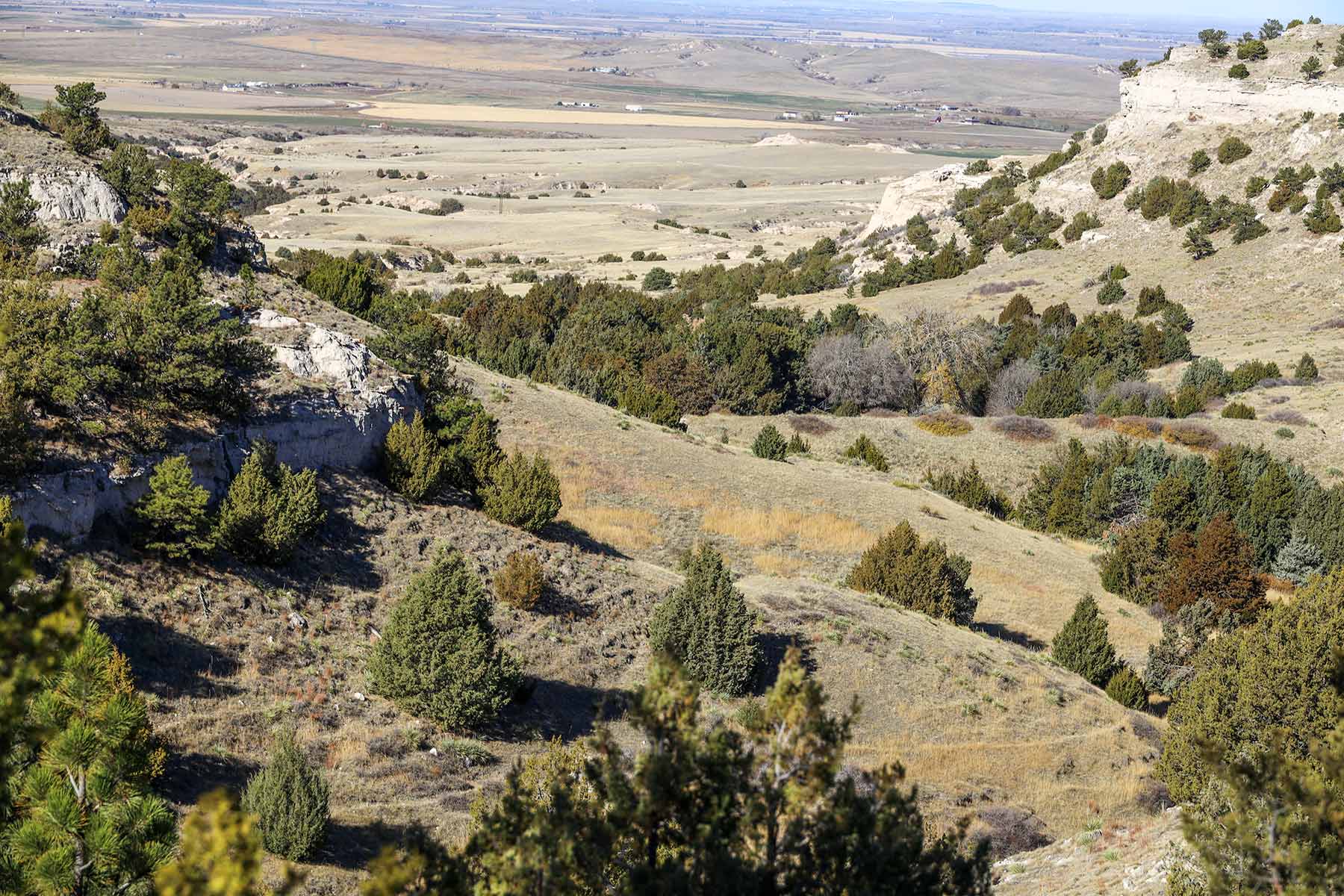 Bumpy Road Ranch property picture 26 of 43