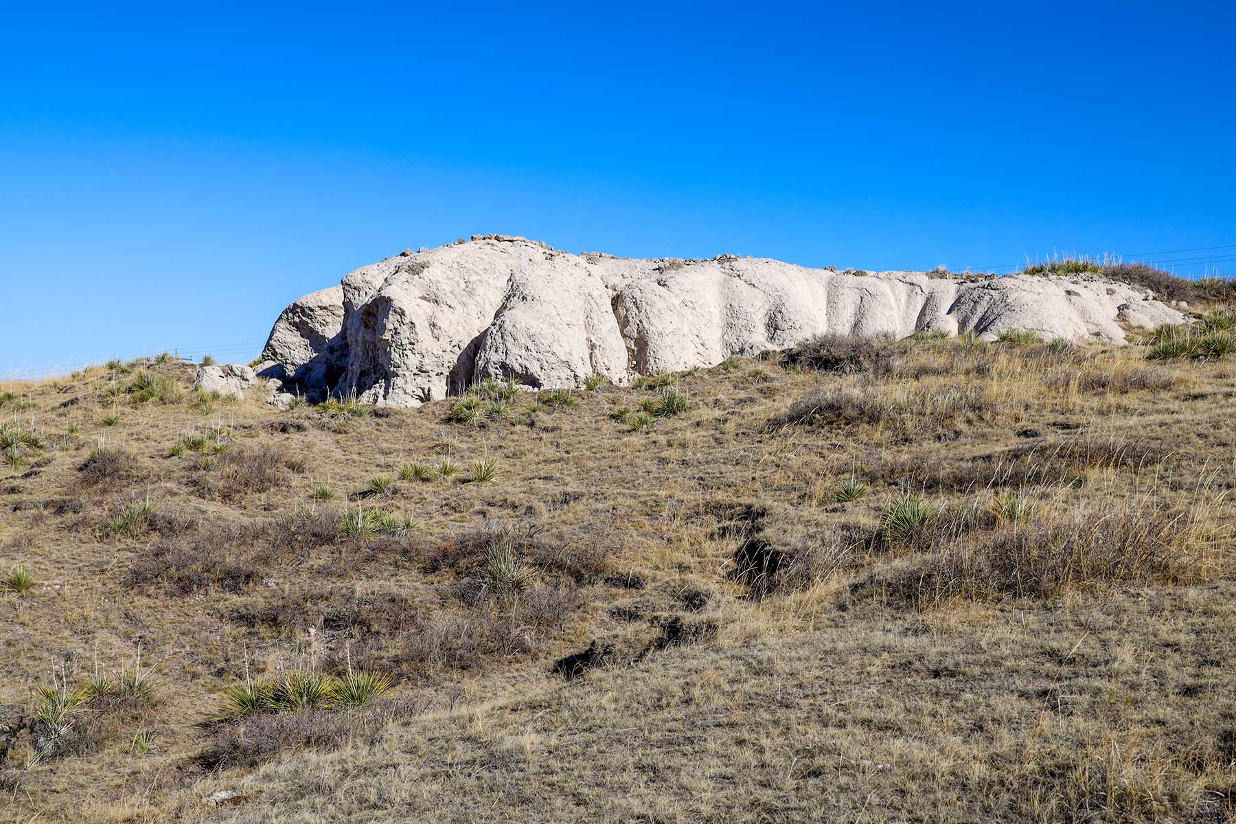 Bumpy Road Ranch property picture 25 of 43
