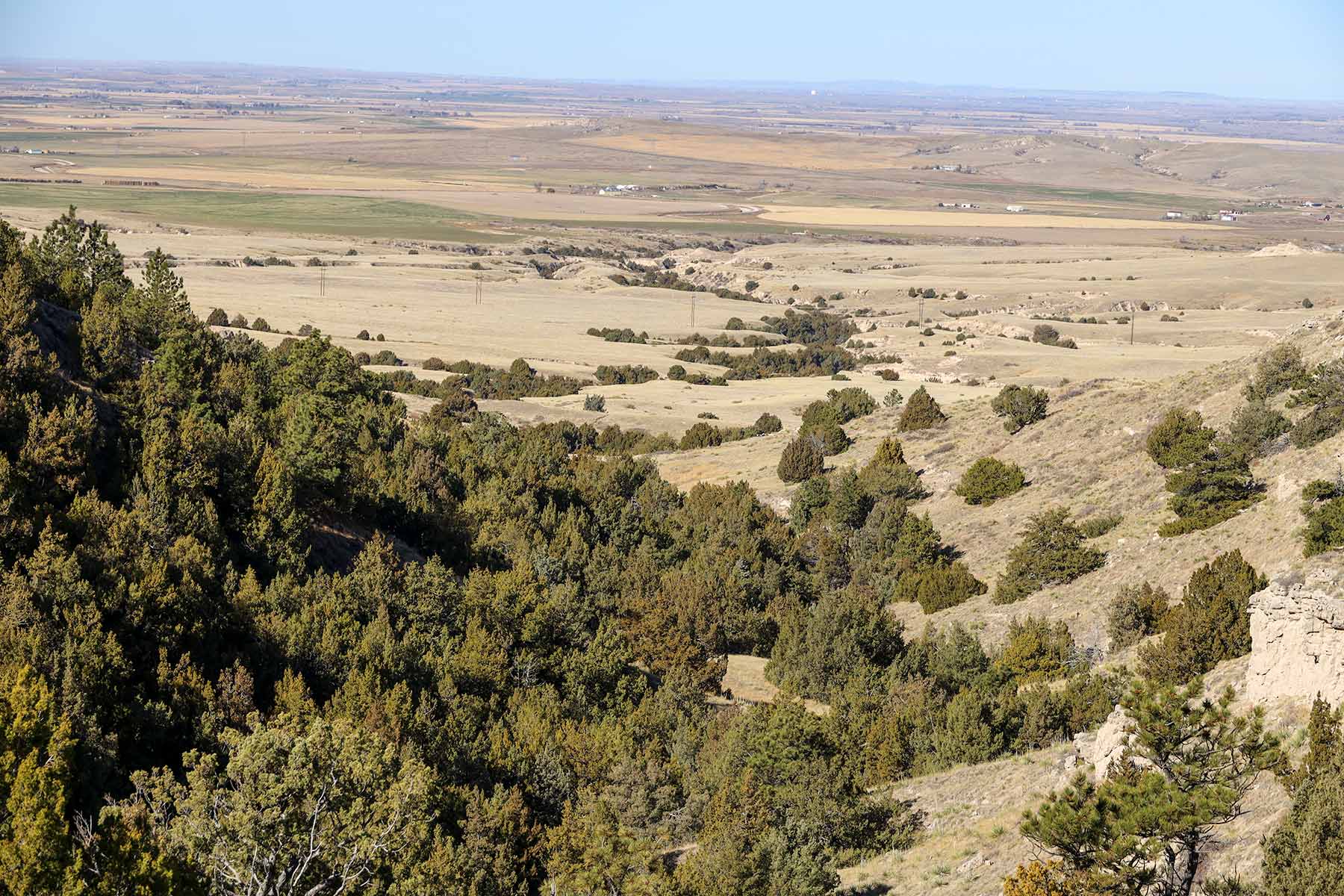 Bumpy Road Ranch property picture 30 of 43