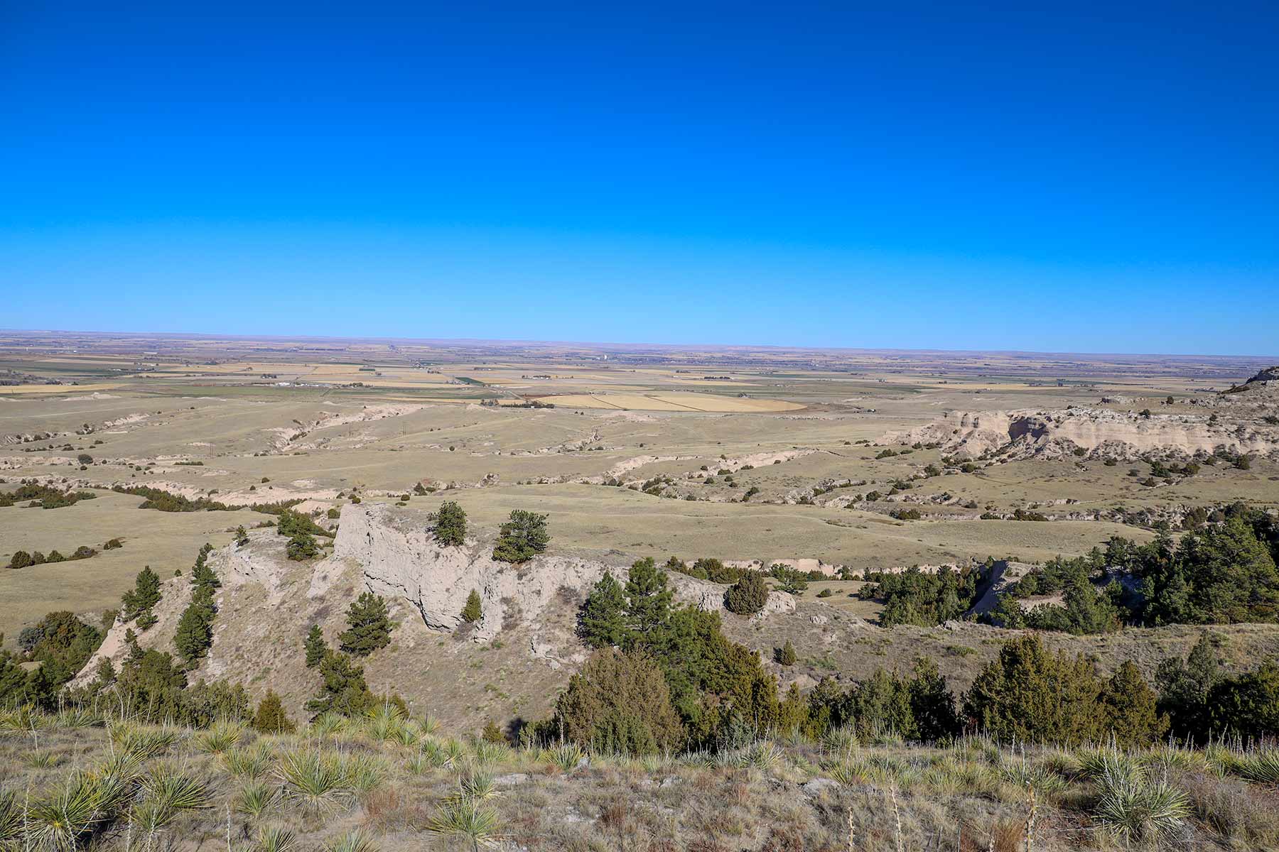 Bumpy Road Ranch property picture 15 of 43