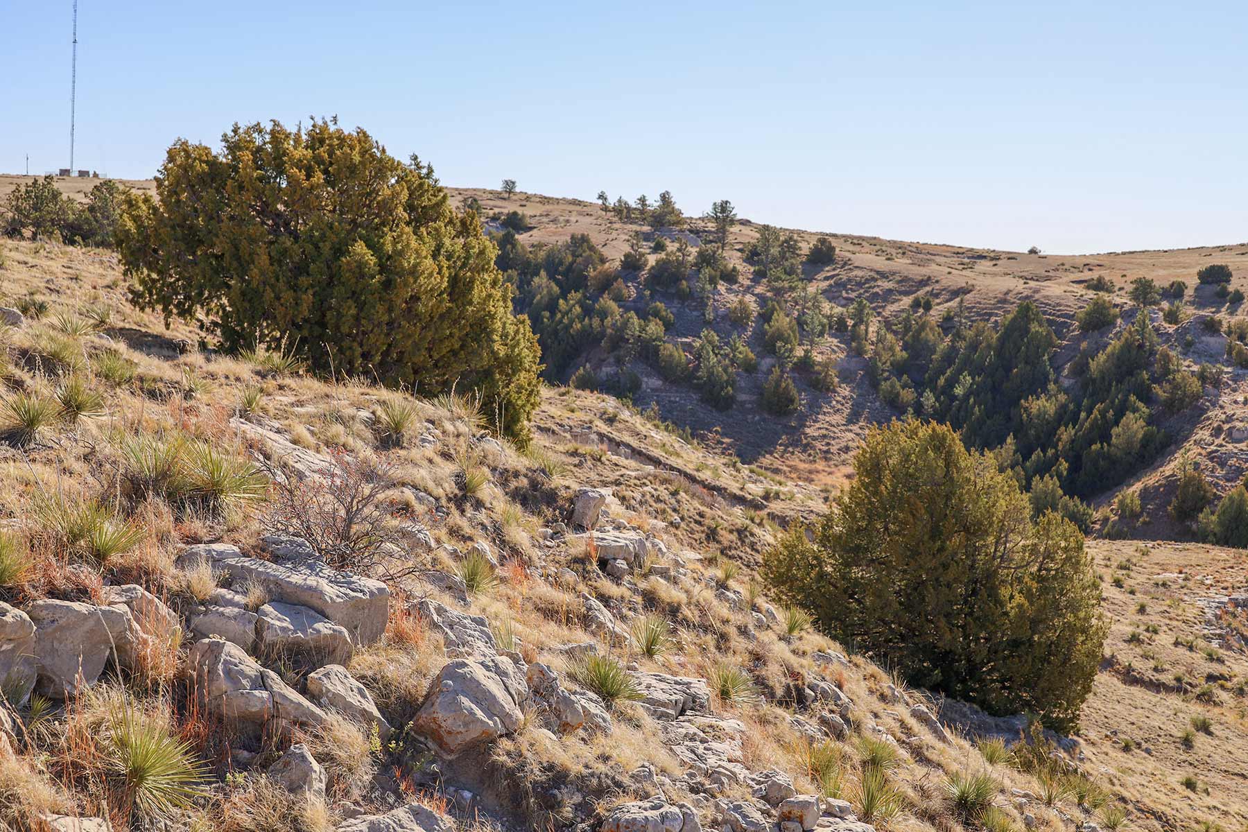 Bumpy Road Ranch property picture 24 of 43