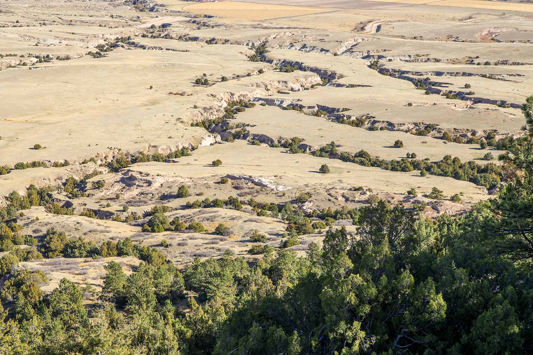 Bumpy Road Ranch property picture 11 of 43