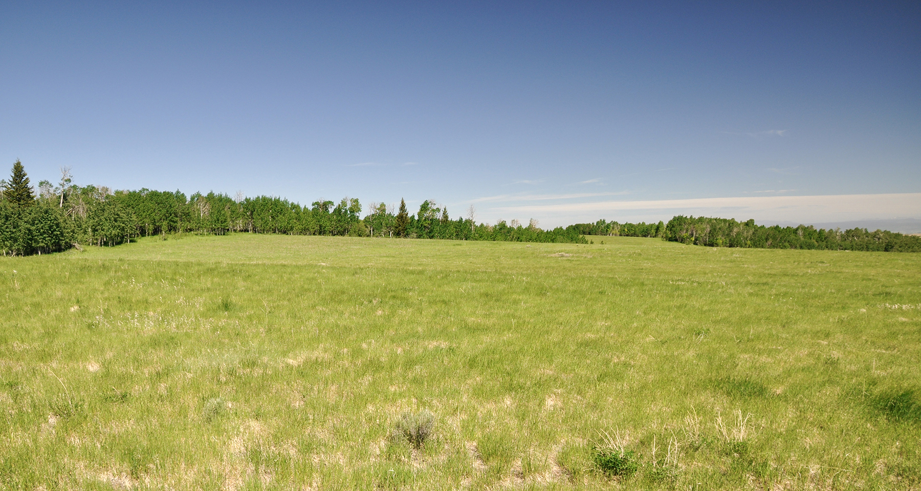 Hoopes Teton View Ranch property picture 19 of 30