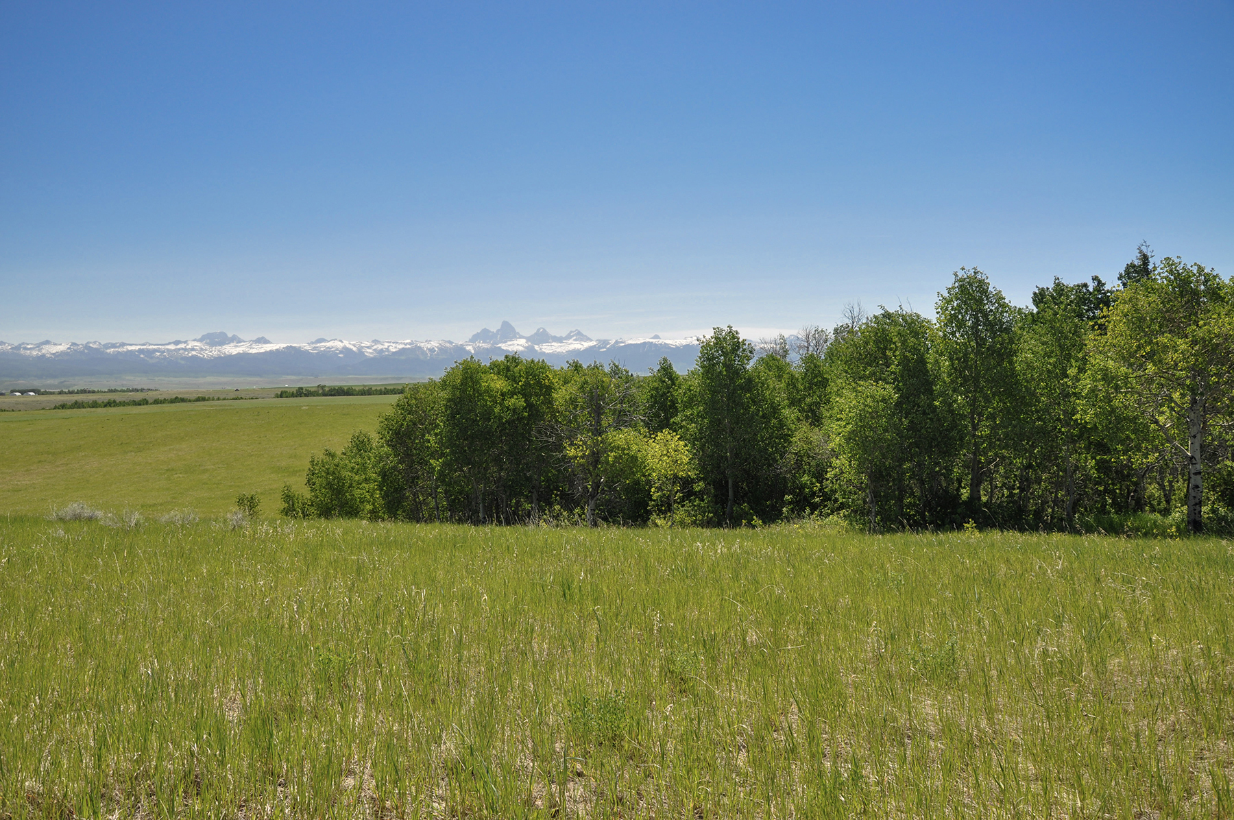 Hoopes Teton View Ranch property picture 21 of 30