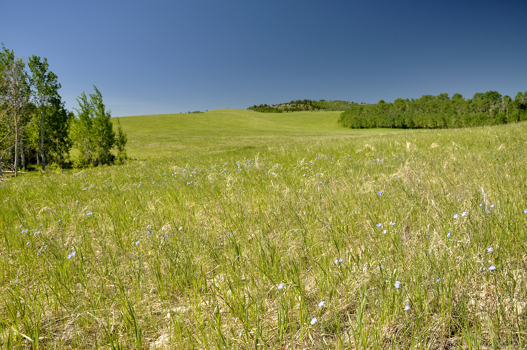 Hoopes Teton View Ranch property picture 22 of 30