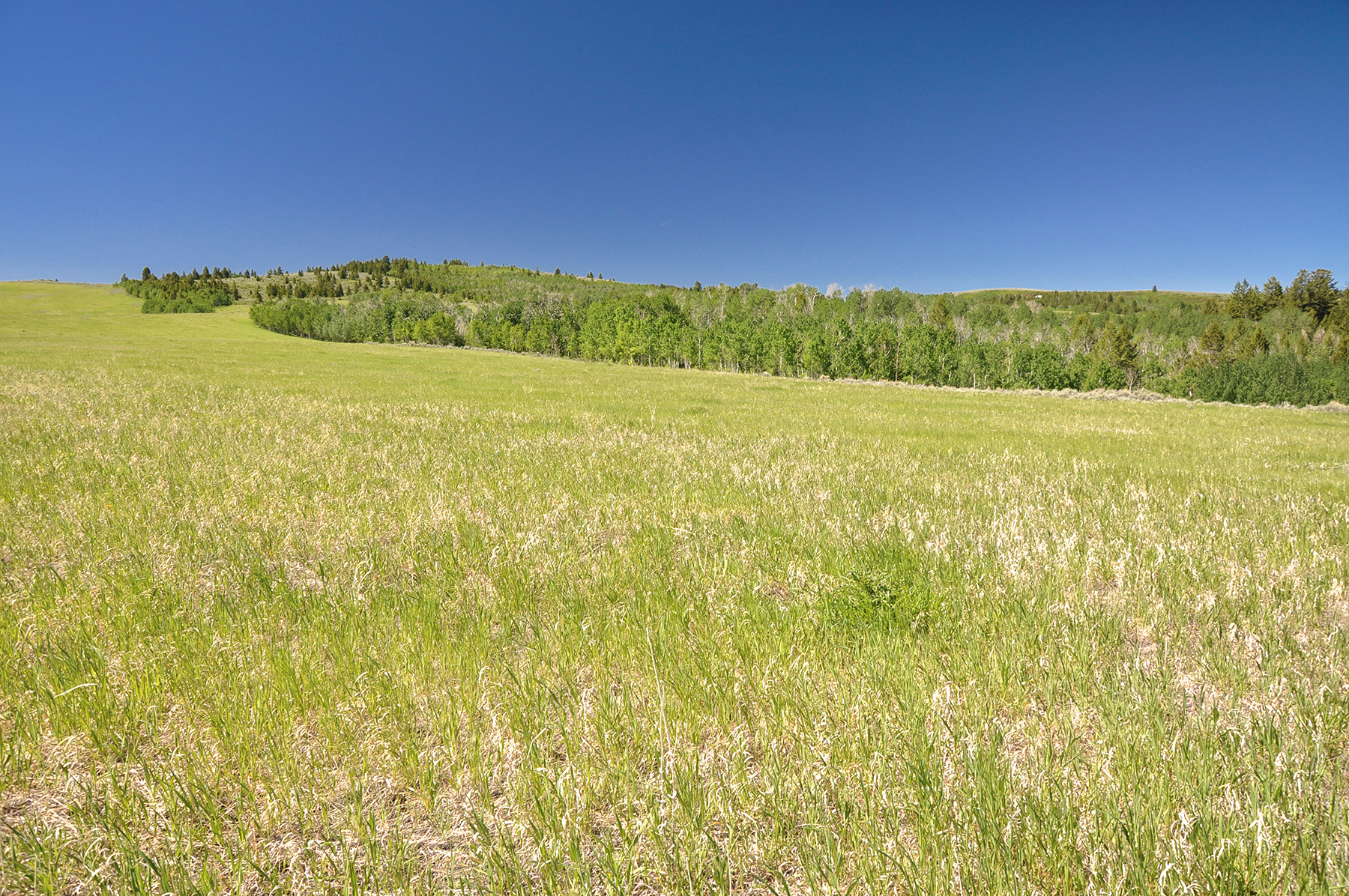 Hoopes Teton View Ranch property picture 30 of 30