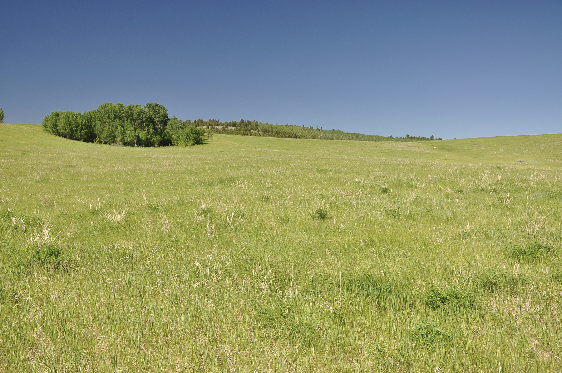 Hoopes Teton View Ranch property picture 14 of 30