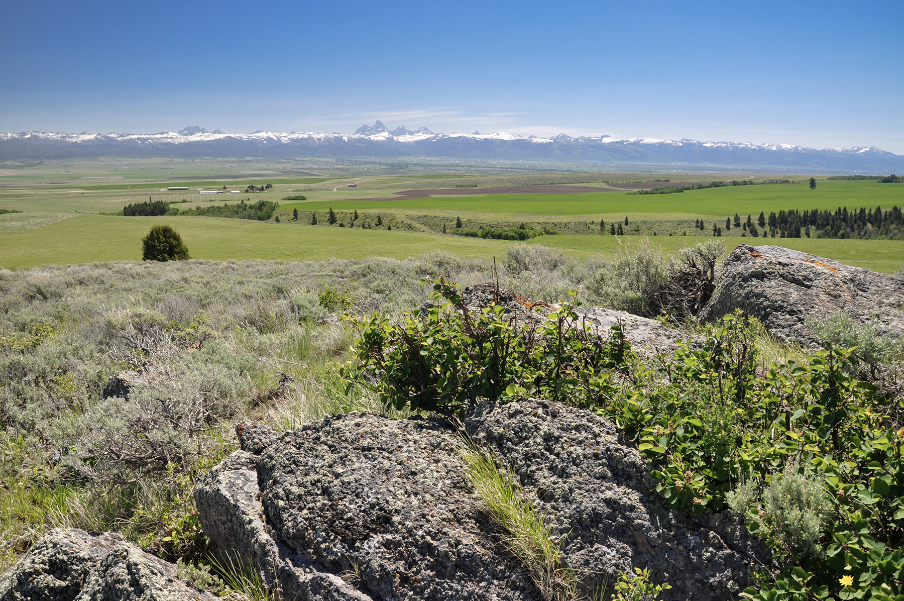 Hoopes Teton View Ranch property picture 15 of 30
