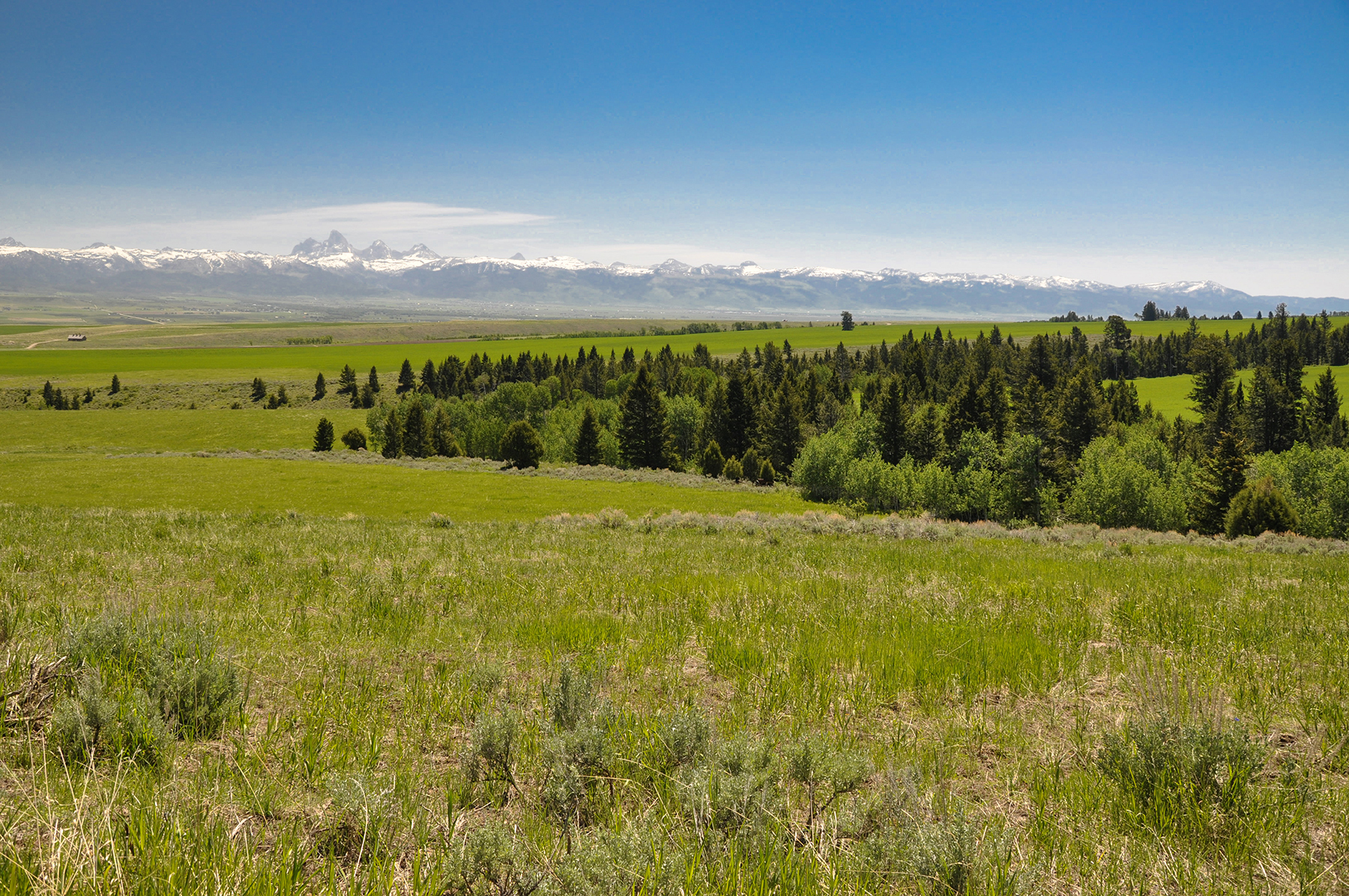 Hoopes Teton View Ranch property picture 13 of 30