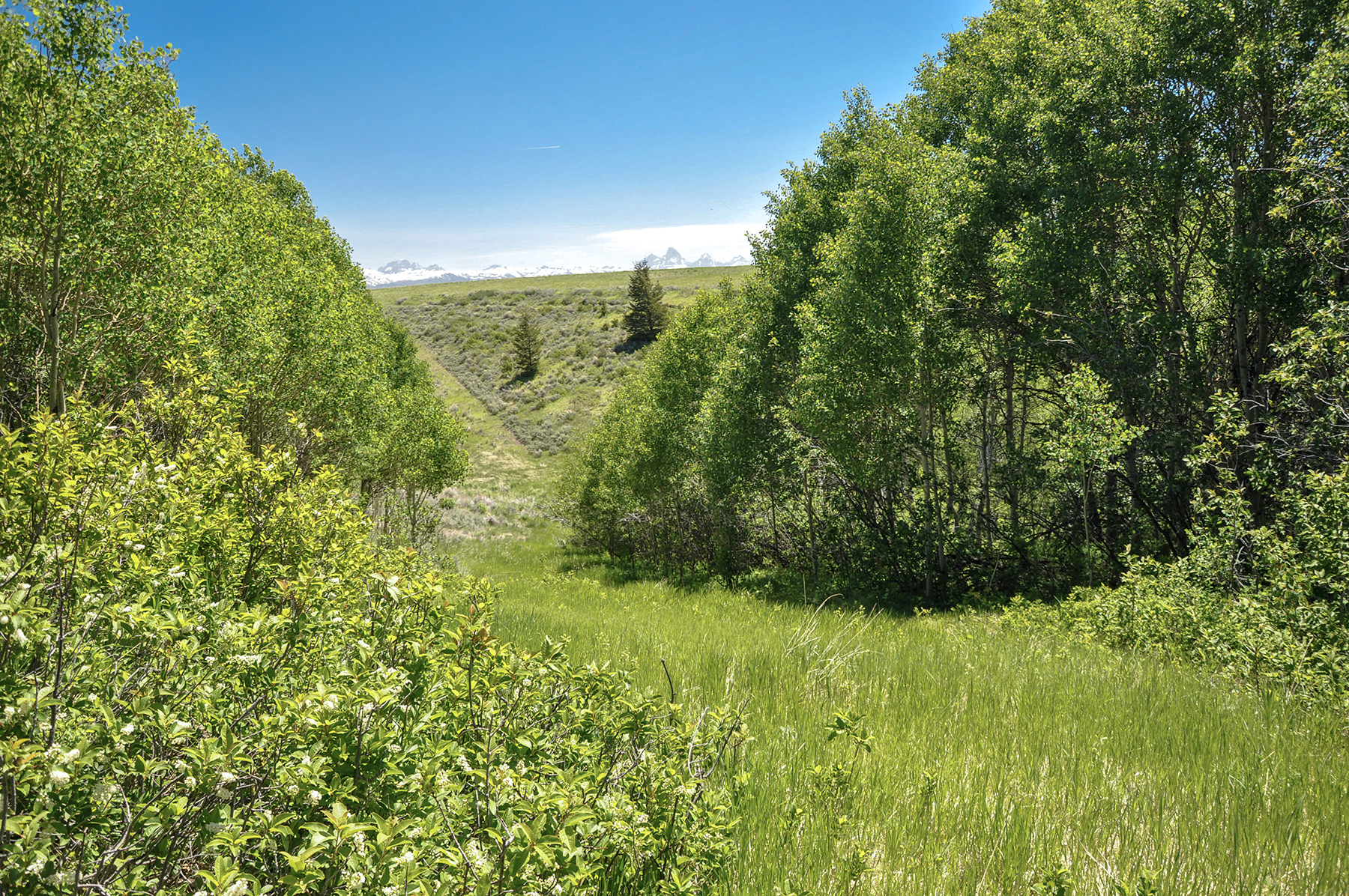 Hoopes Teton View Ranch property picture 7 of 30