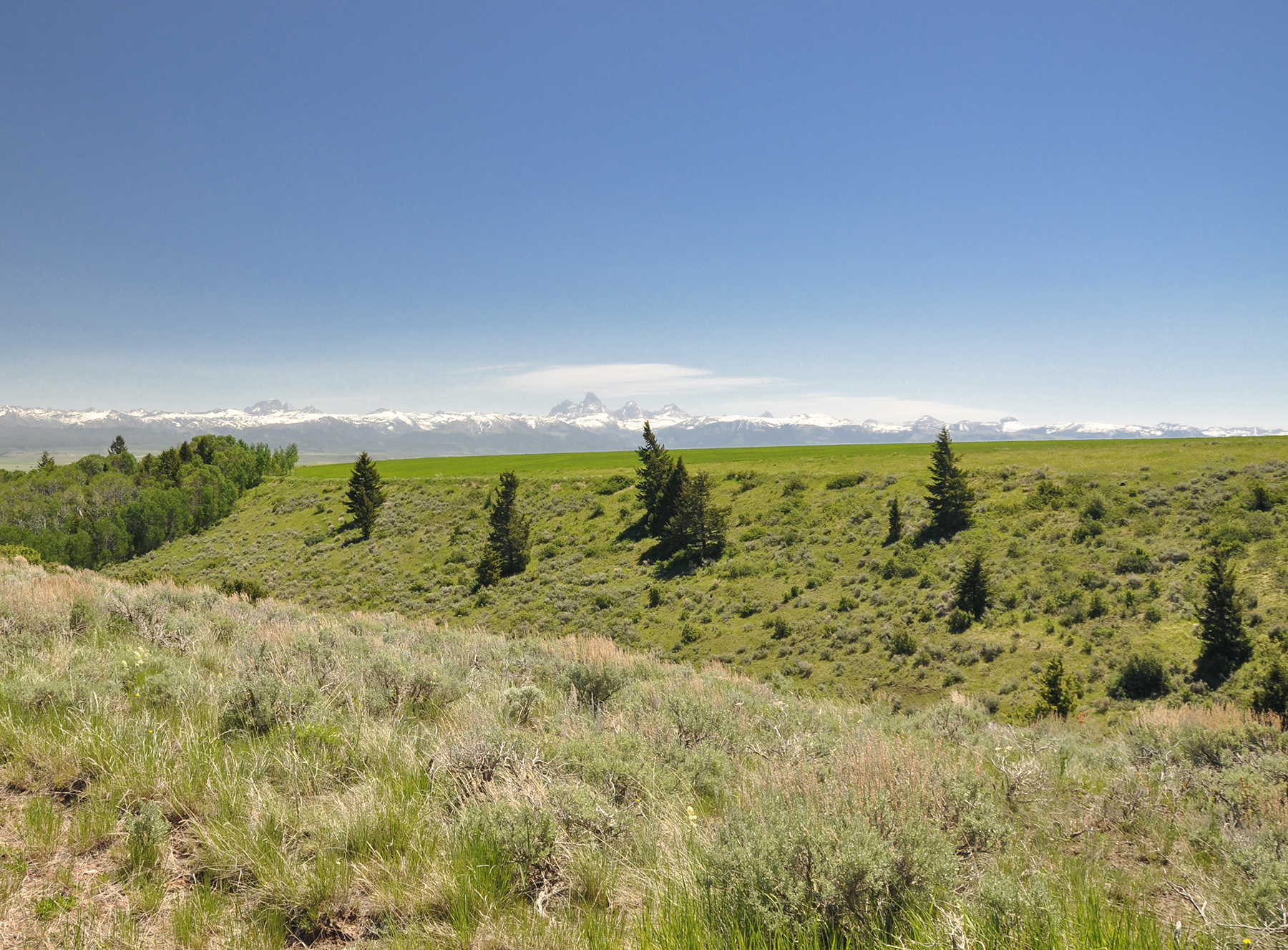 Hoopes Teton View Ranch property picture 17 of 30