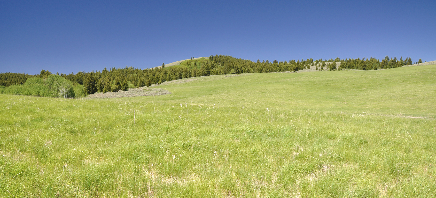 Hoopes Teton View Ranch property picture 28 of 30
