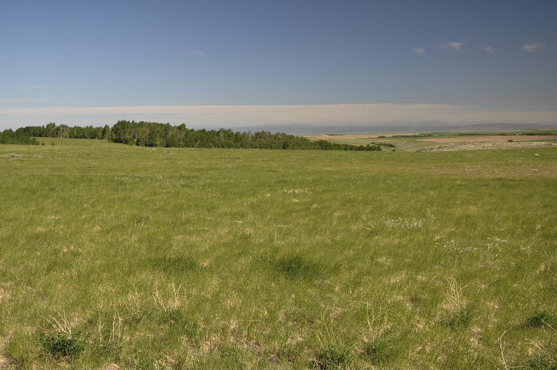 Hoopes Teton View Ranch property picture 18 of 30