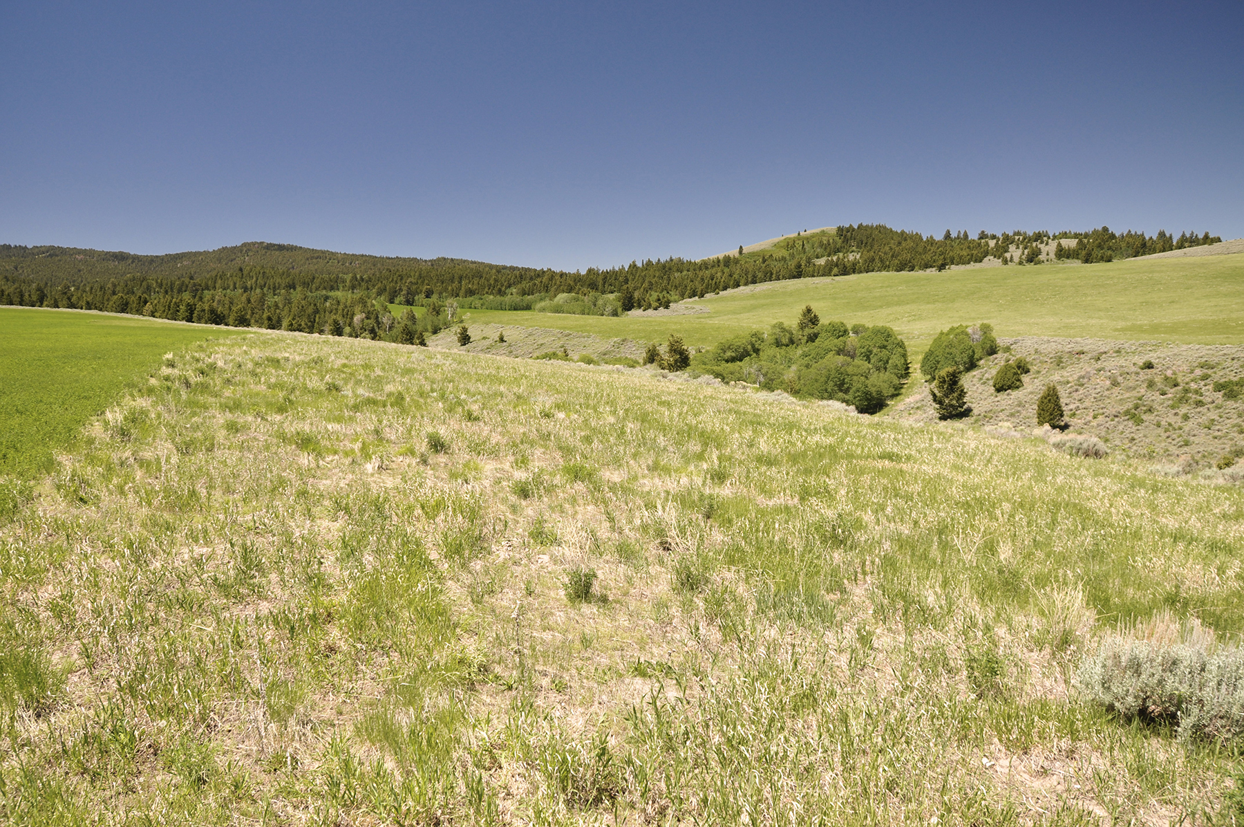 Hoopes Teton View Ranch property picture 29 of 30