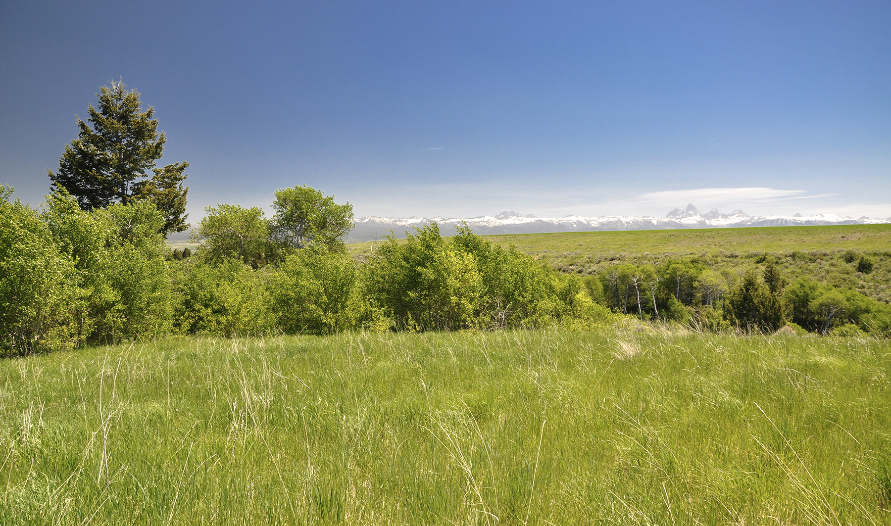 Hoopes Teton View Ranch property picture 24 of 30