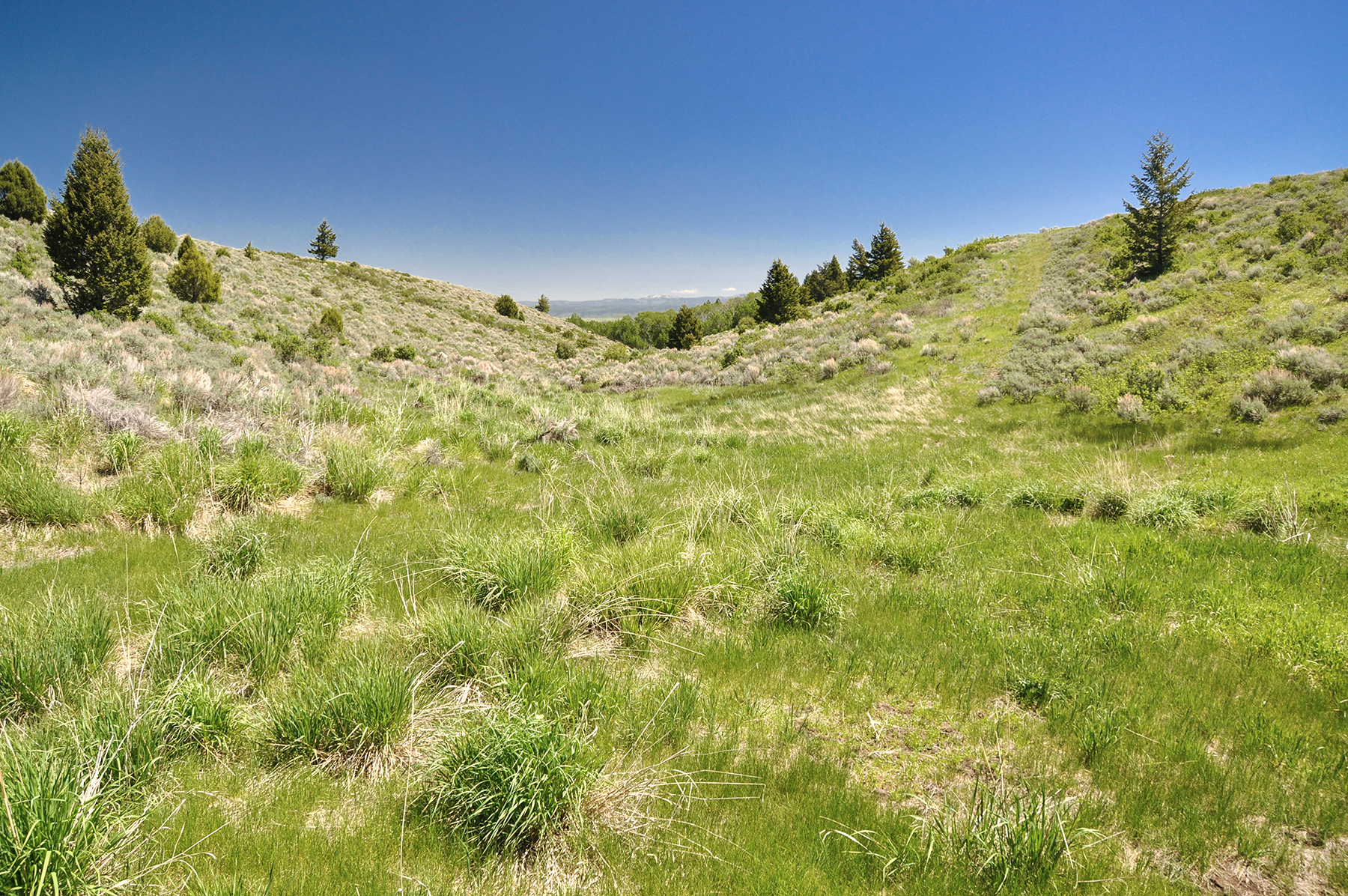 Hoopes Teton View Ranch property picture 11 of 30