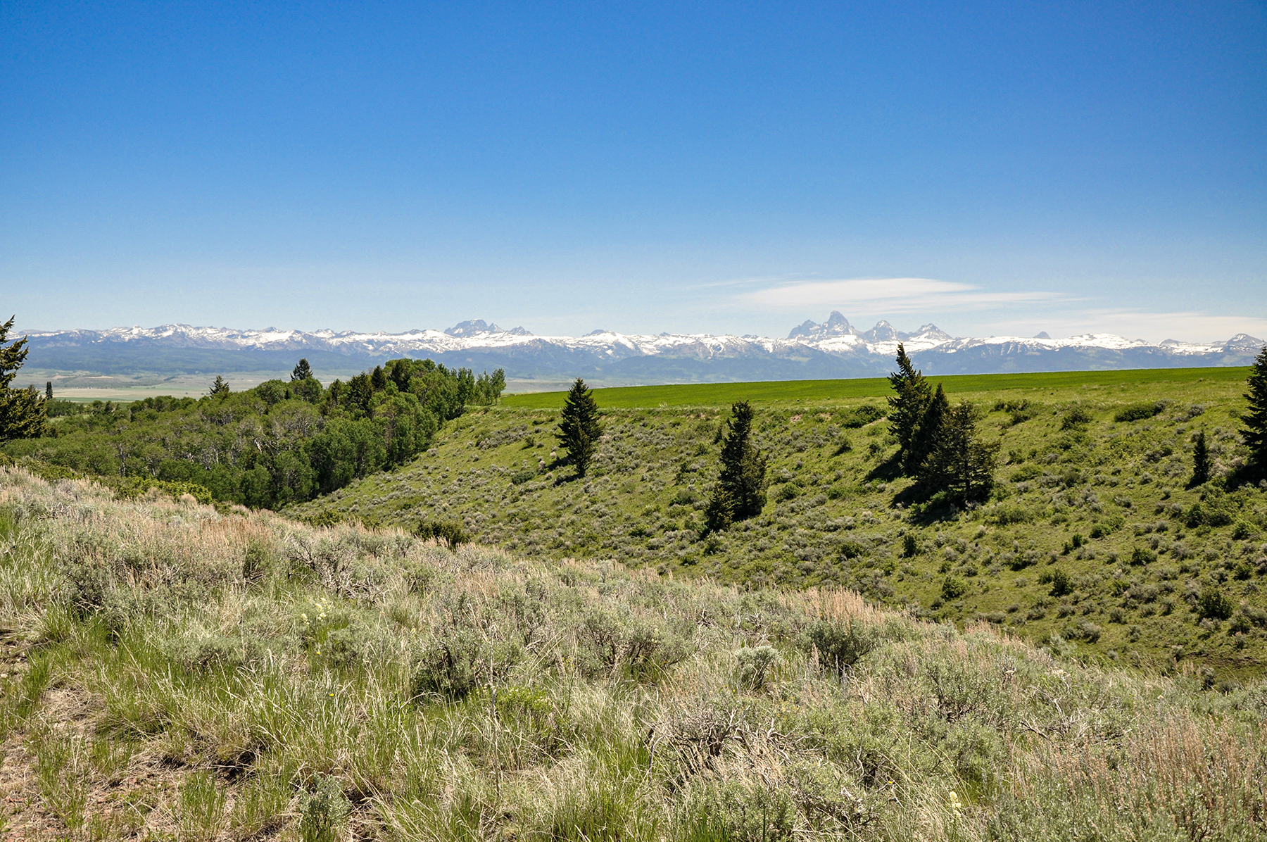 Hoopes Teton View Ranch property picture 6 of 30