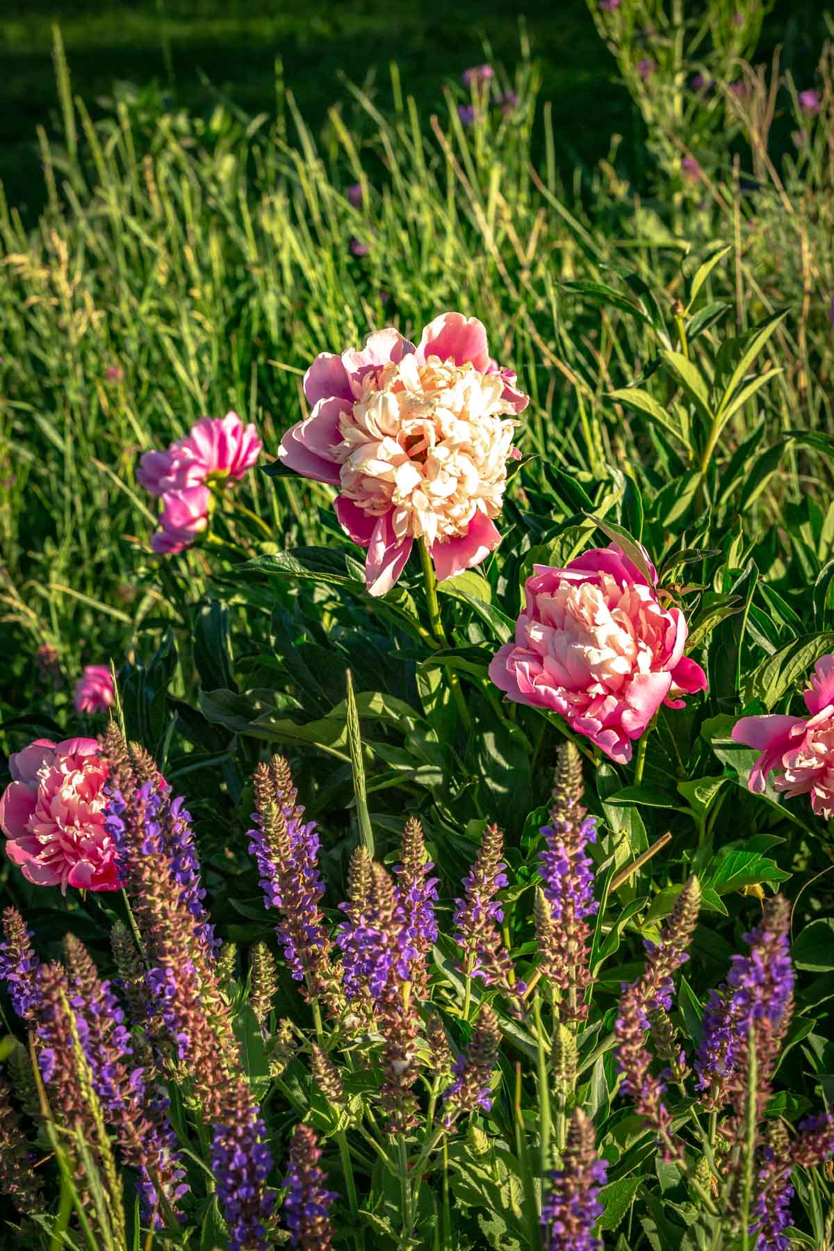 Angler's Retreat on the Shields property picture 34 of 59