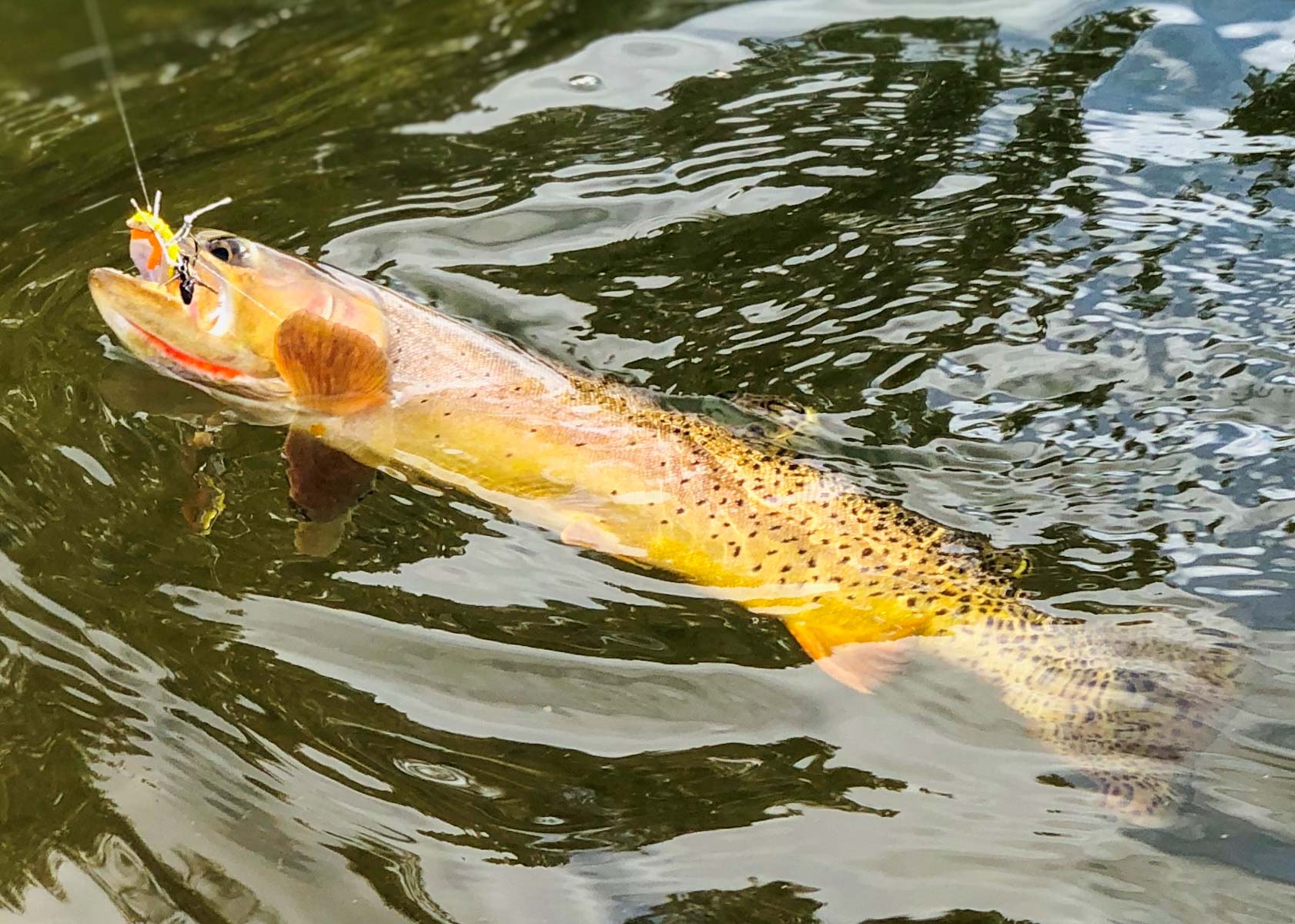 Angler's Retreat on the Shields property picture 12 of 59