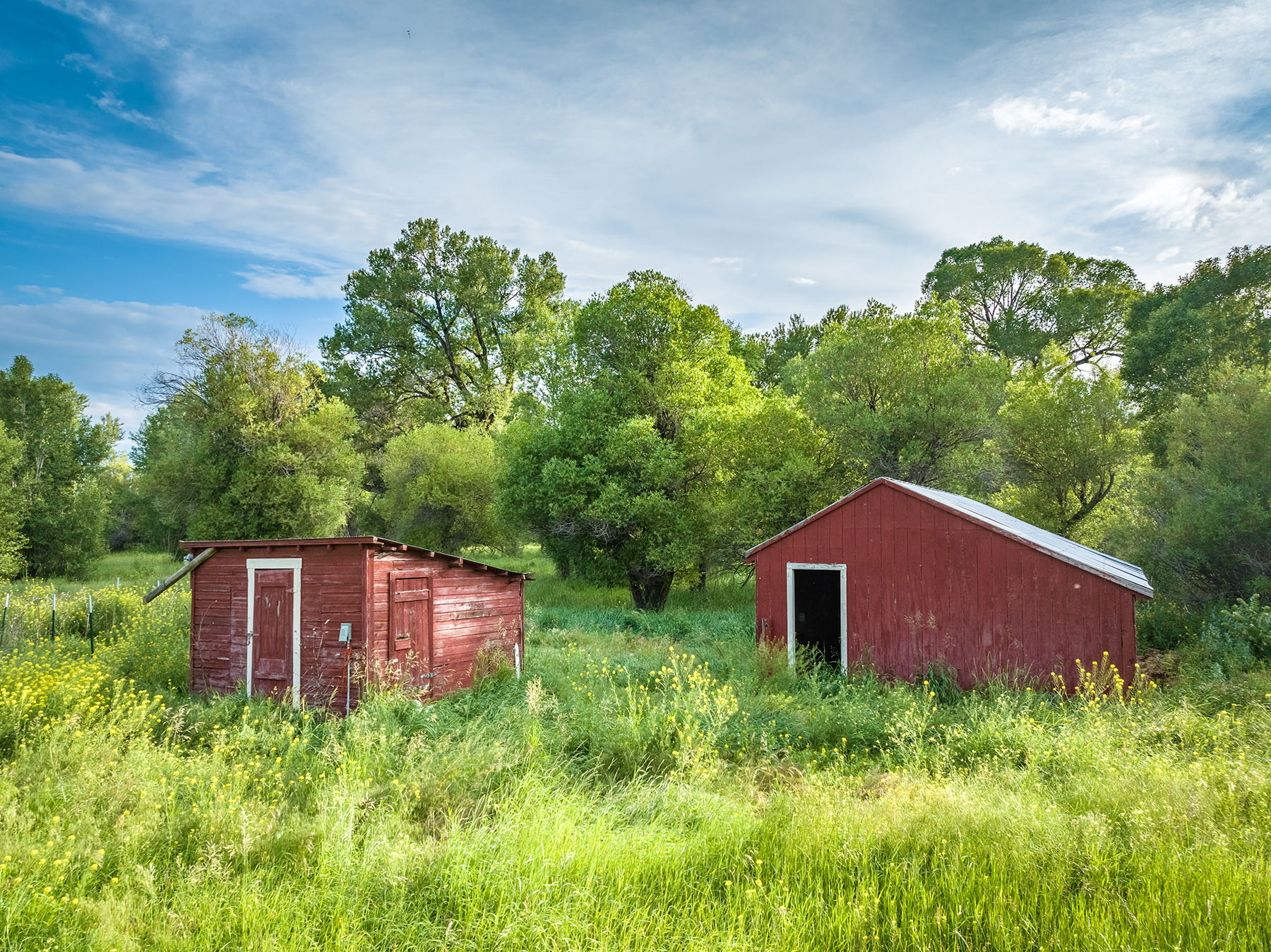 Angler's Retreat on the Shields property picture 48 of 59