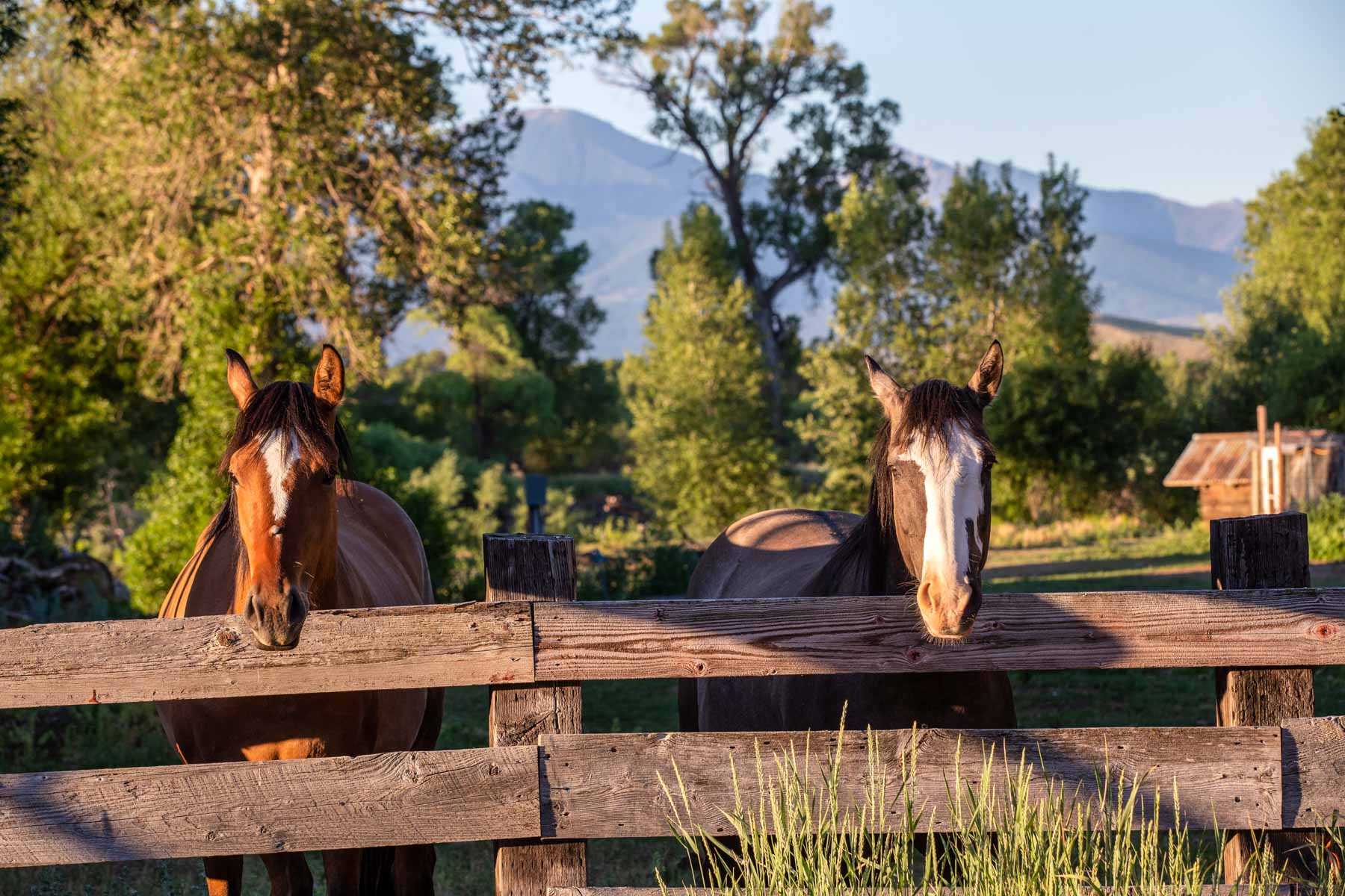 Angler's Retreat on the Shields property picture 40 of 59