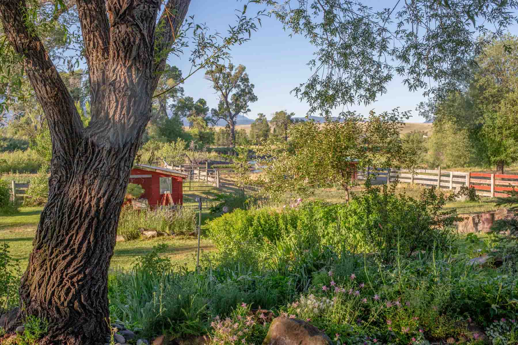 Angler's Retreat on the Shields property picture 41 of 59