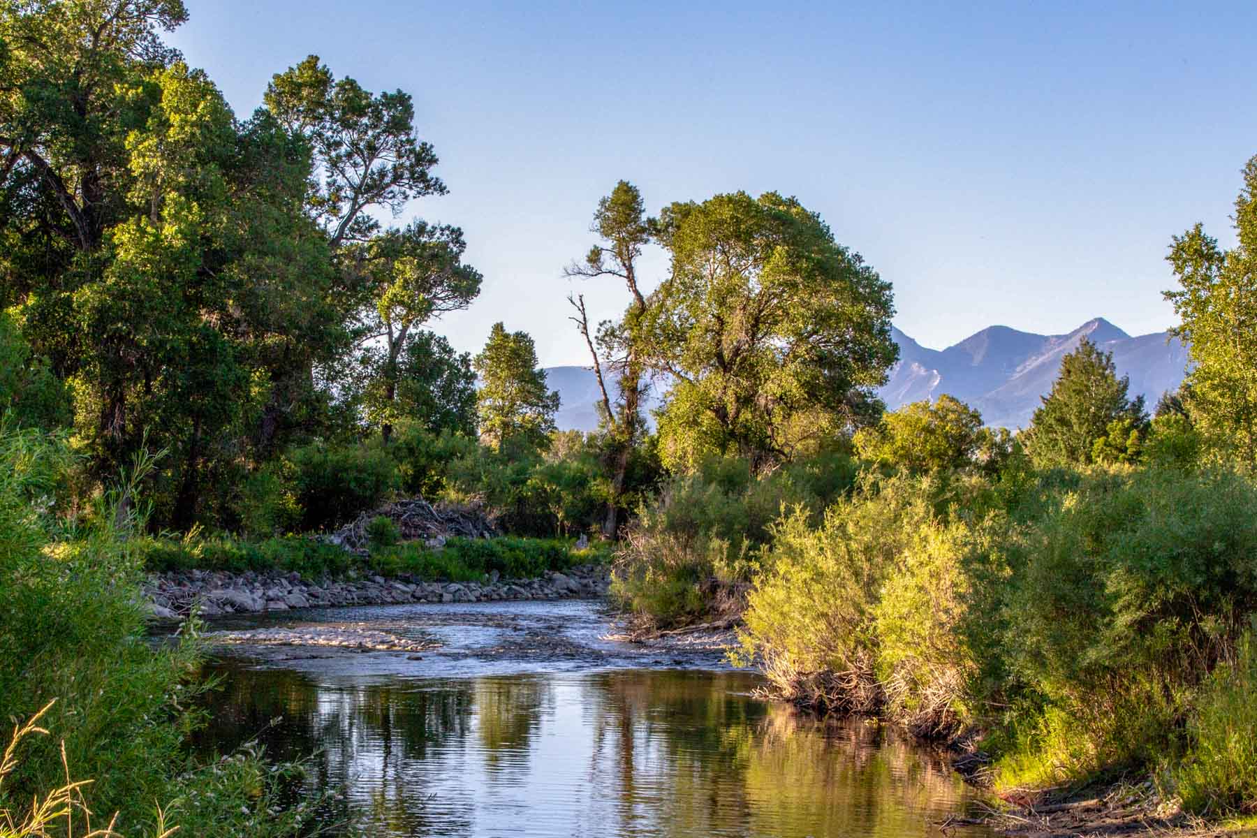 Angler's Retreat on the Shields property picture 50 of 59