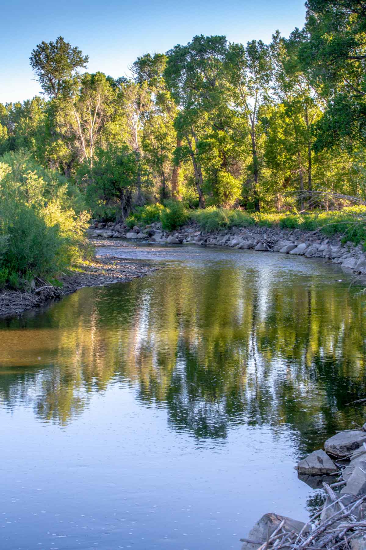 Angler's Retreat on the Shields property picture 59 of 59