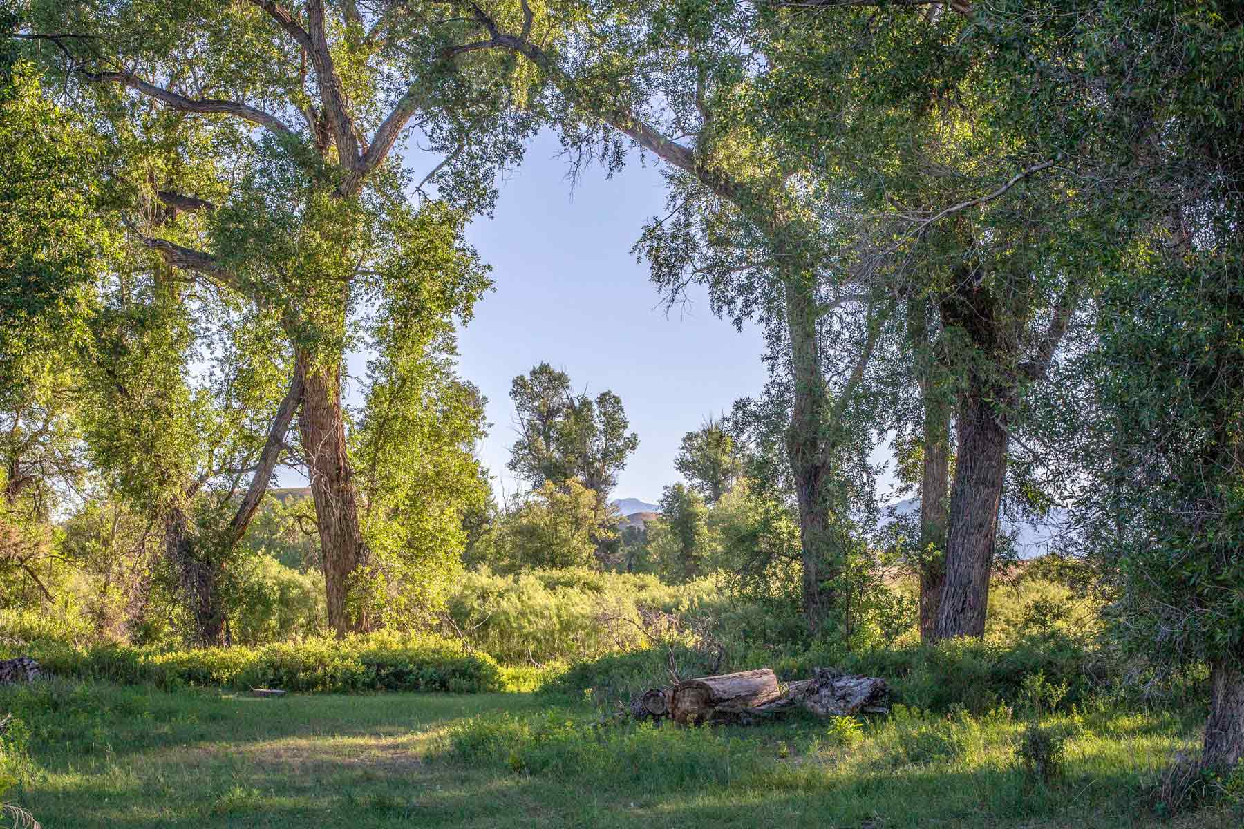 Angler's Retreat on the Shields property picture 58 of 59