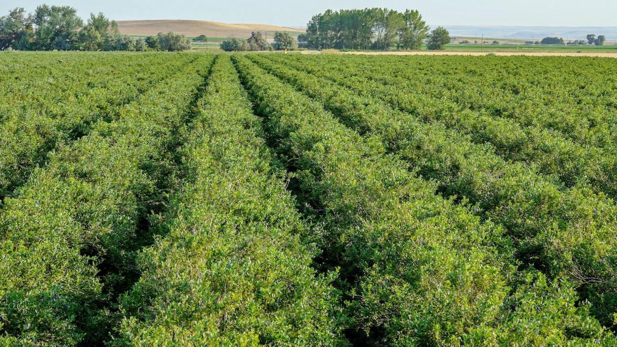 Hale Brothers Farm property picture 17 of 46