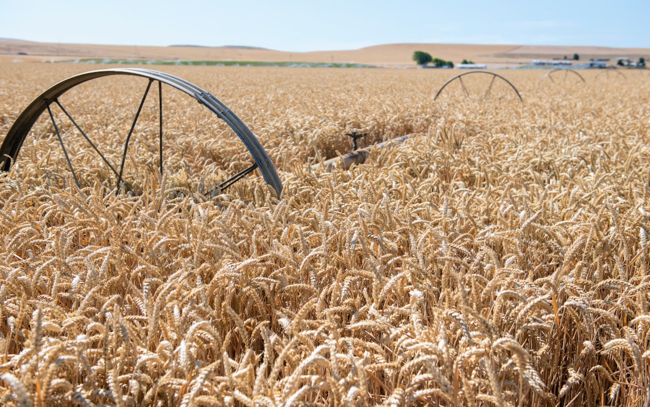 Hale Brothers Farm property picture 13 of 46