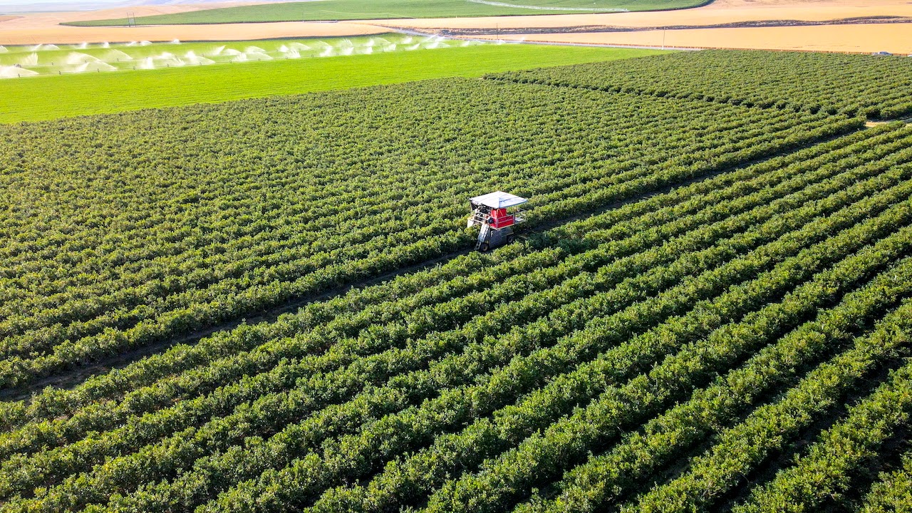 Hale Brothers Farm property picture 44 of 46