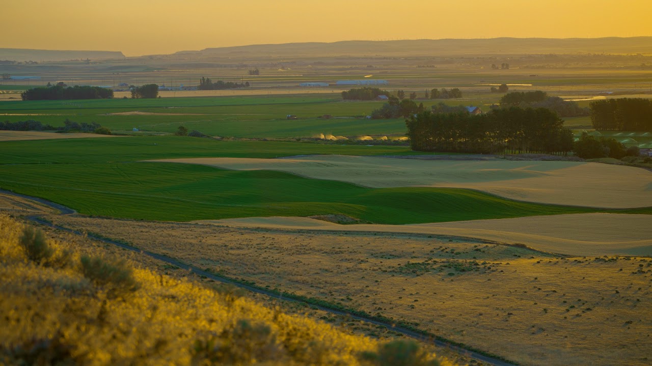 Hale Brothers Farm property picture 36 of 46